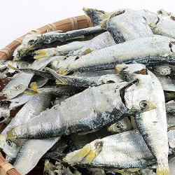 디포리(육수용) 1.5kg